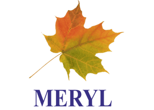 Meryl — customer of NeeN AI CRM by 9ance